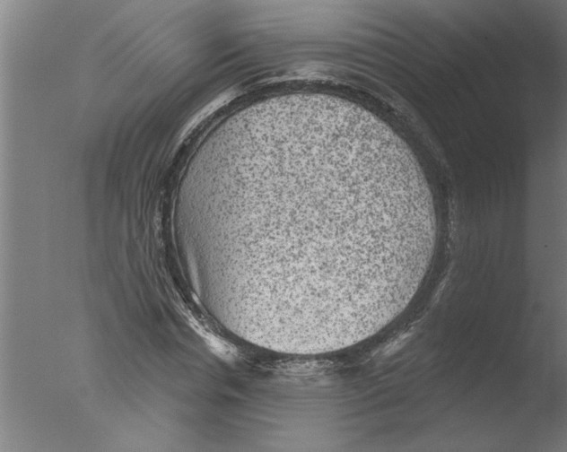 X0000076080826200610202038