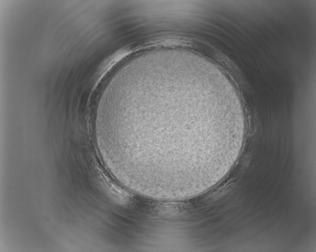 X0000076080828200610202038