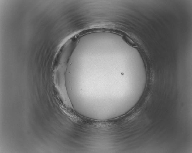 X0000076080830200610202038