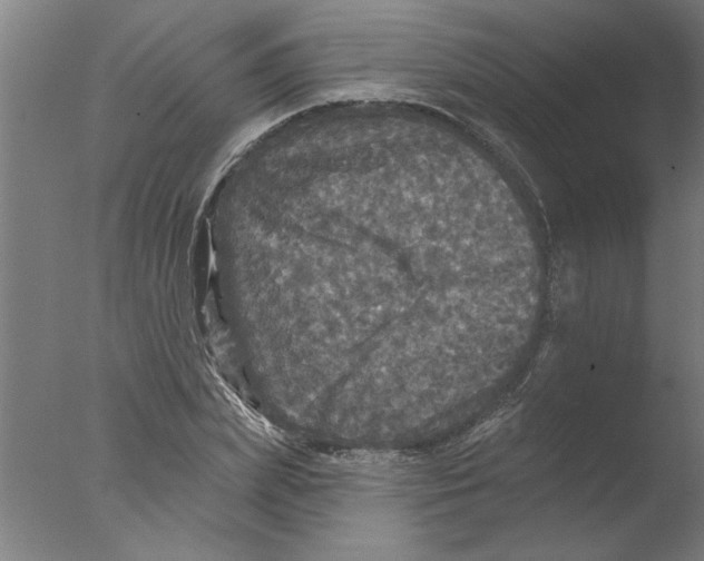 X0000076080831200610202038