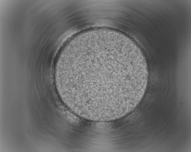 X0000076080832200610202038