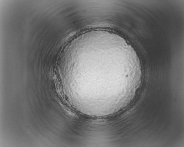 X0000076080833200610202038