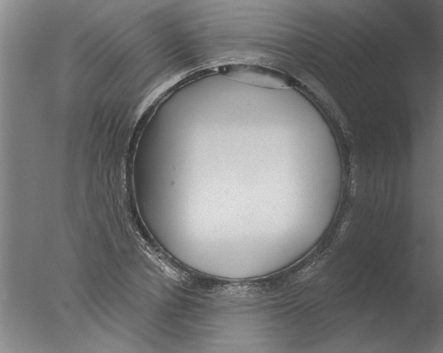 X0000076080834200610202038