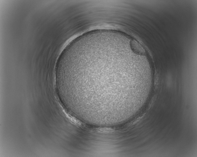 X0000076080837200610202038