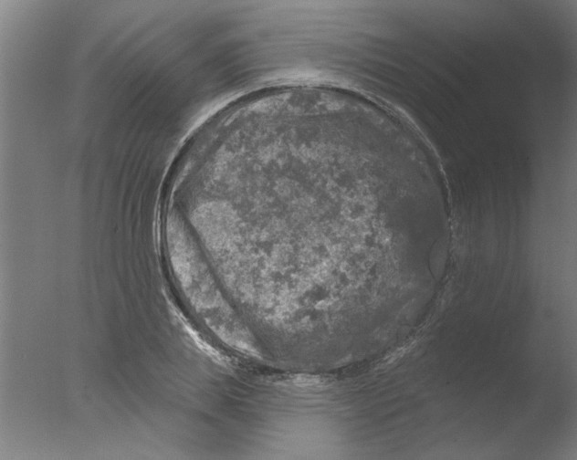 X0000076080839200610202038