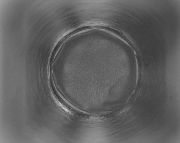 X0000076080840200610202038