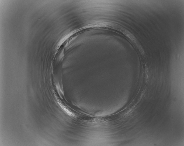 X0000076080842200610202038