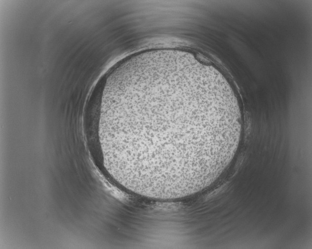 X0000076080843200610202038