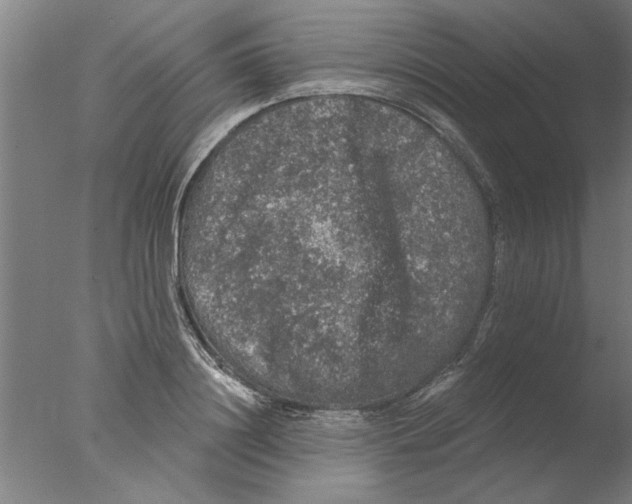 X0000076080844200610202038