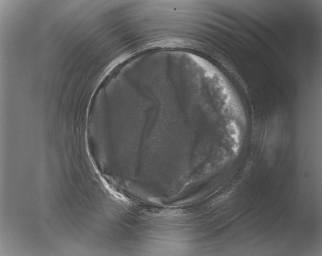 X0000076080845200610202038