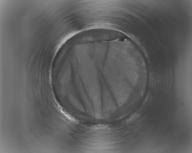 X0000076080846200610202038