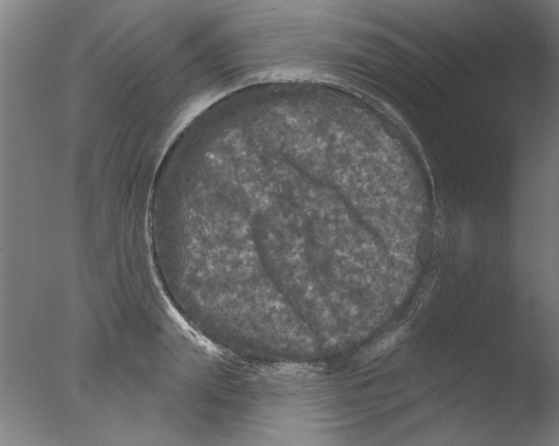 X0000076080847200610202038