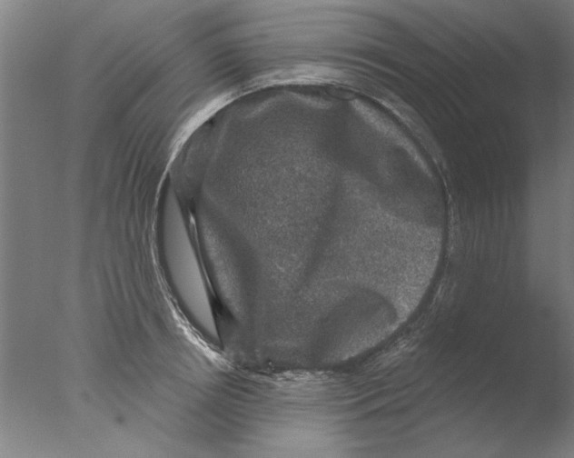 X0000076080850200610202038