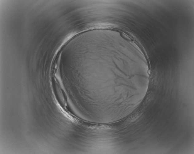 X0000076080851200610202038