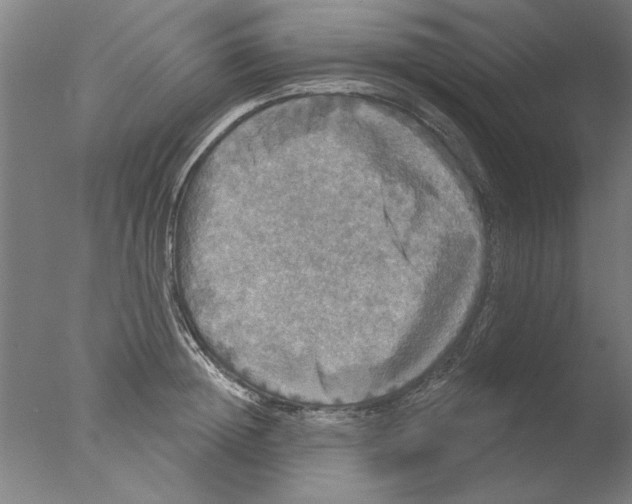 X0000076080852200610202038