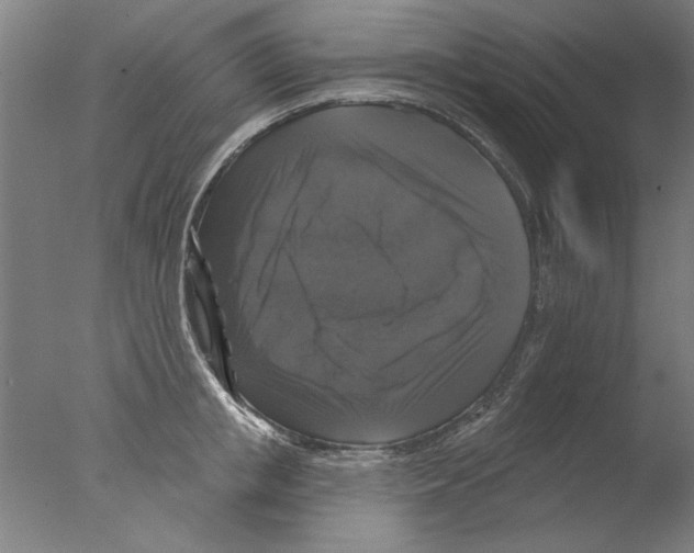 X0000076080853200610202038