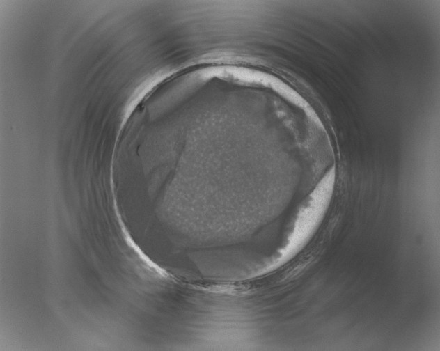 X0000076080855200610202038