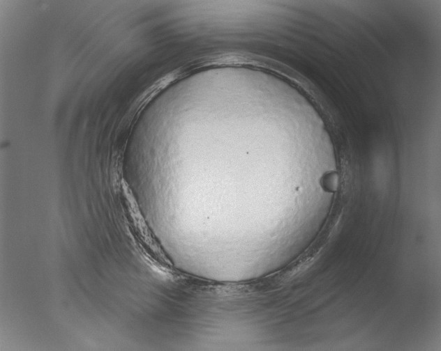 X0000076080857200610202038