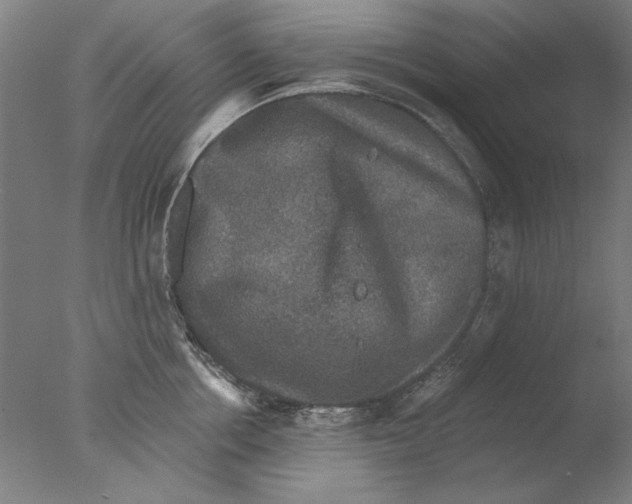 X0000076080858200610202038