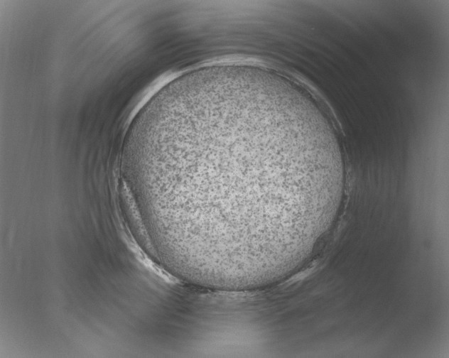 X0000076080860200610202038