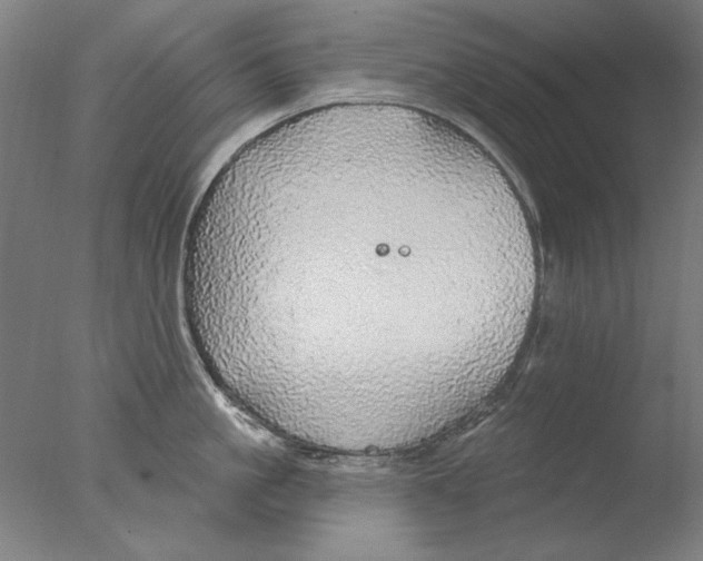 X0000076080861200610202038