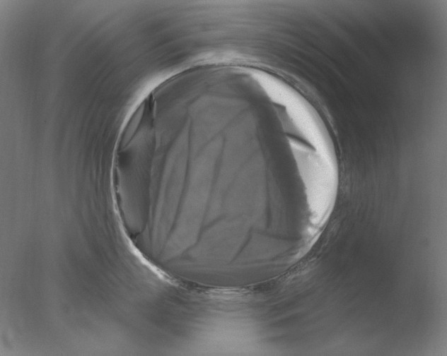 X0000076080863200610202038