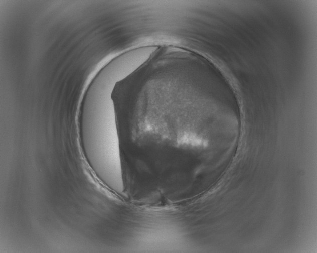 X0000076080864200610202038