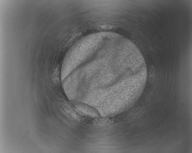 X0000076080866200610202038