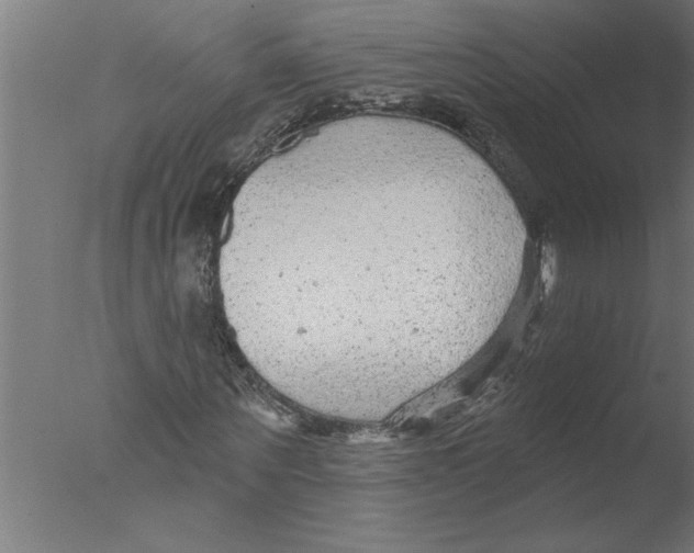 X0000076080867200610202038