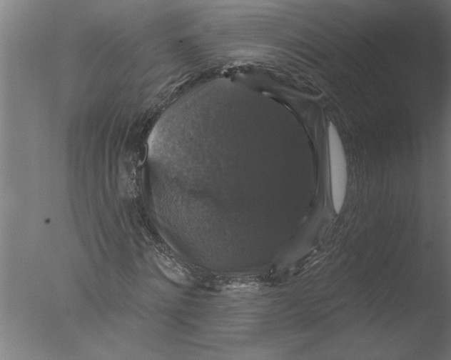 X0000076080868200610202038