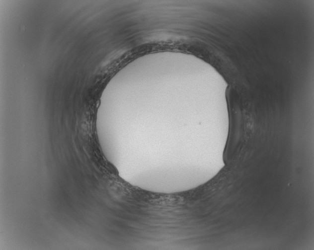 X0000076080869200610202038