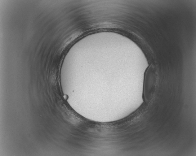 X0000076080873200610202037