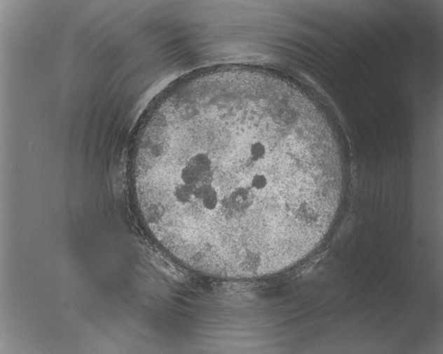 X0000076080875200610202037