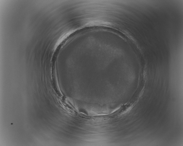 X0000076080877200610202037