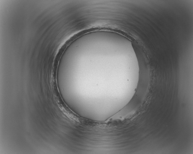 X0000076080880200610202037