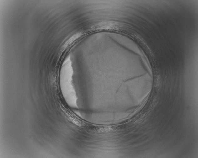 X0000076080882200610202037