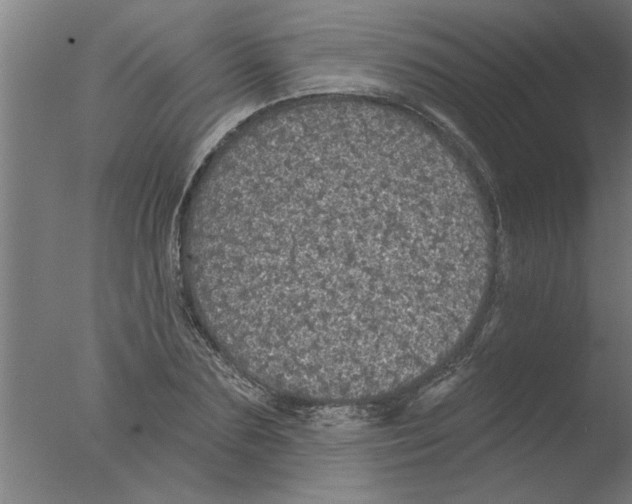 X0000076080883200610202037