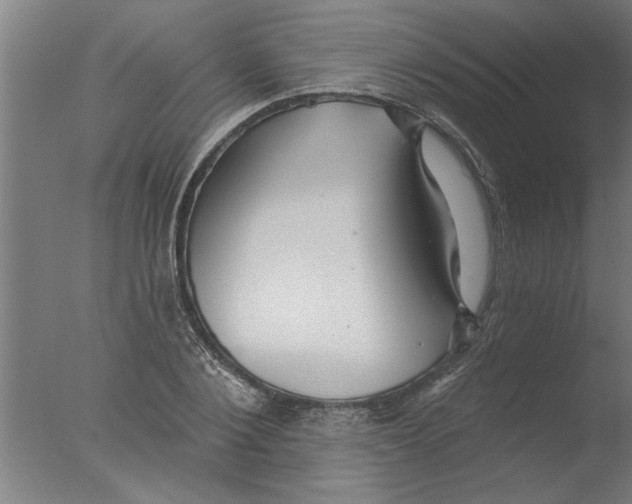 X0000076080884200610202037