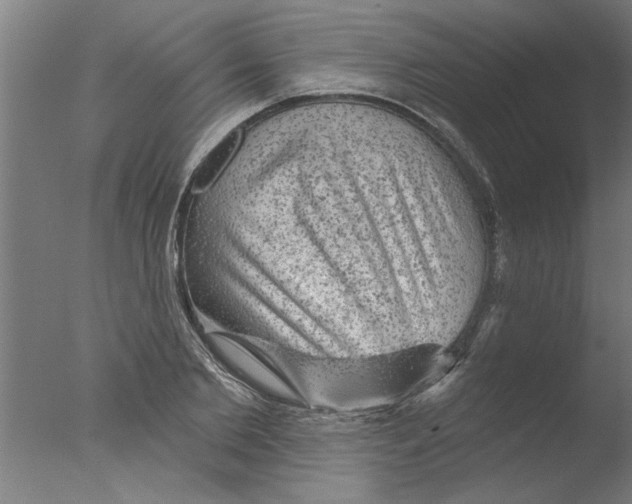 X0000076080885200610202037