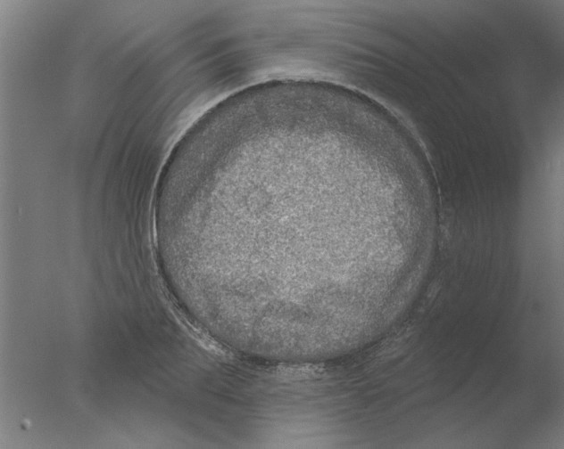 X0000076080887200610202037