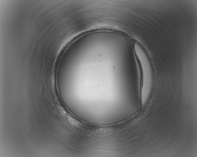 X0000076080888200610202037