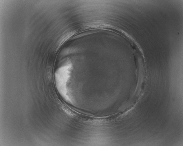 X0000076080889200610202037