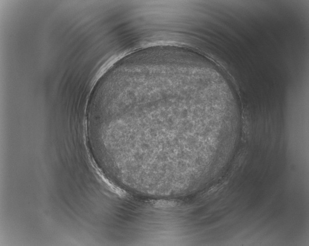 X0000076080890200610202037