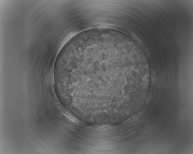 X0000076080891200610202037