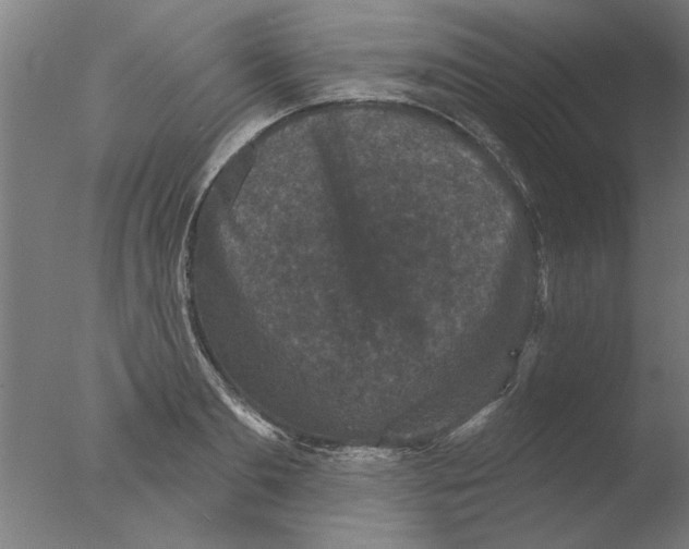 X0000076080893200610202037