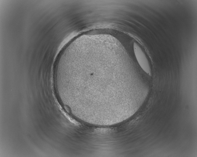 X0000076080894200610202037