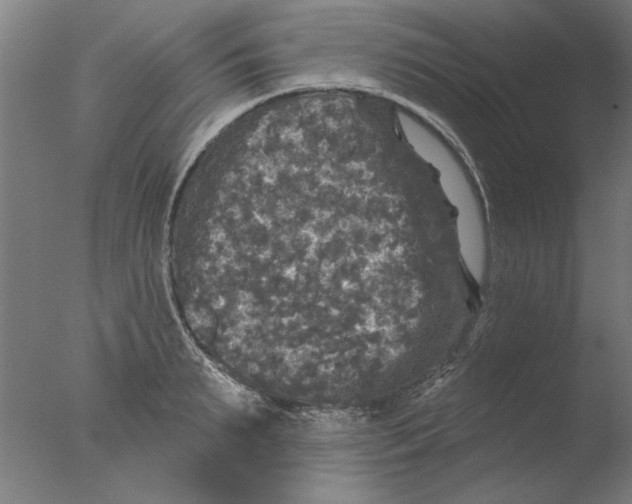 X0000076080895200610202037