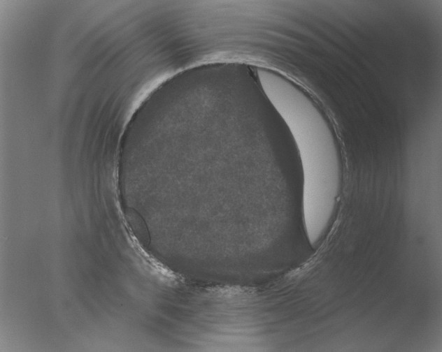 X0000076080896200610202037