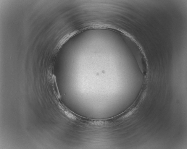 X0000076080897200610202037