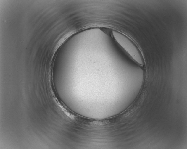 X0000076080898200610202037